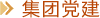 集團(tuán)黨建