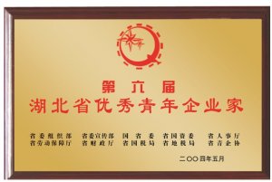 第六屆湖北省優秀青年企業家